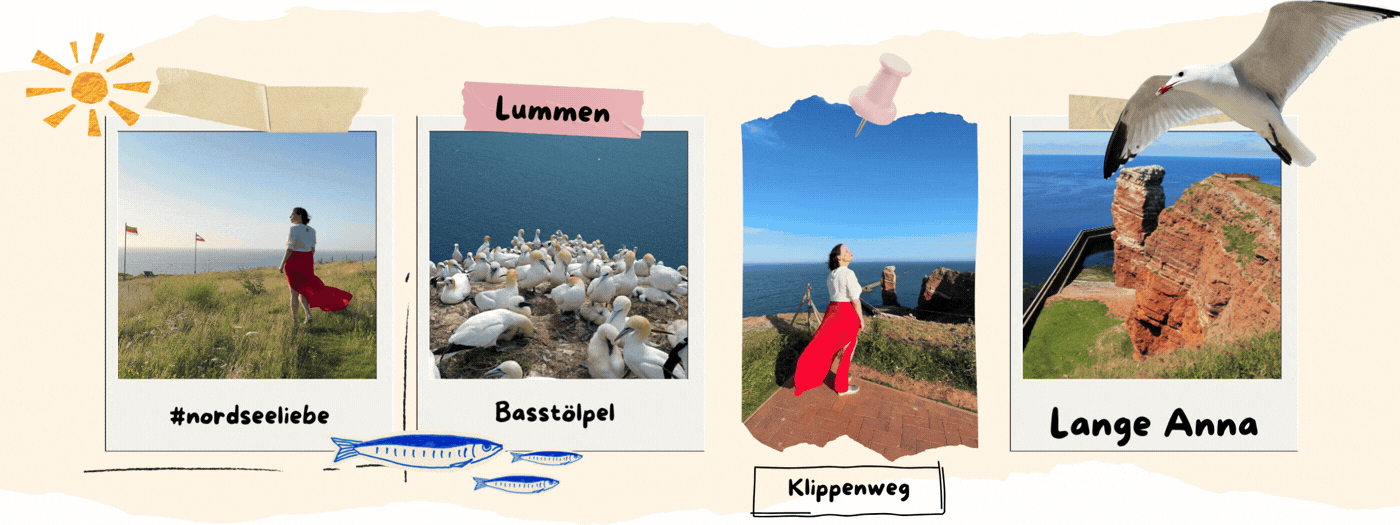 Tagesausflug Helgoland Collage: Reisebloggerin Ingrid auf dem Klippenrandweg, Basstölpel am Lummenfelsen und die Lange Anna